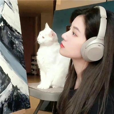拦截声命线